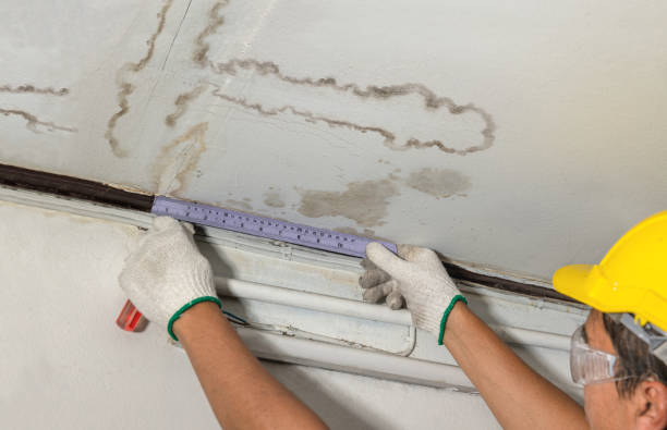 Reliable Water Damage contractor in Hamersville, OH by Water Damage Irwin